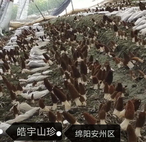 &#24320;&#20803;&#32593;&#31449;&#30331;&#24405;&#20837;&#21475;&#95;&#24320;&#20803;&#65288;&#20013;&#22269;&#65289;